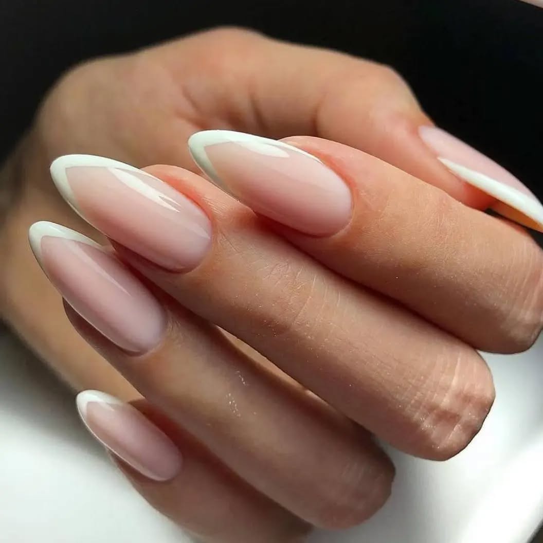 Elegant French Tip Nails