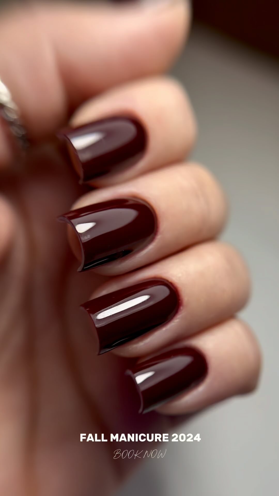 Elegant Fall Manicure 2024