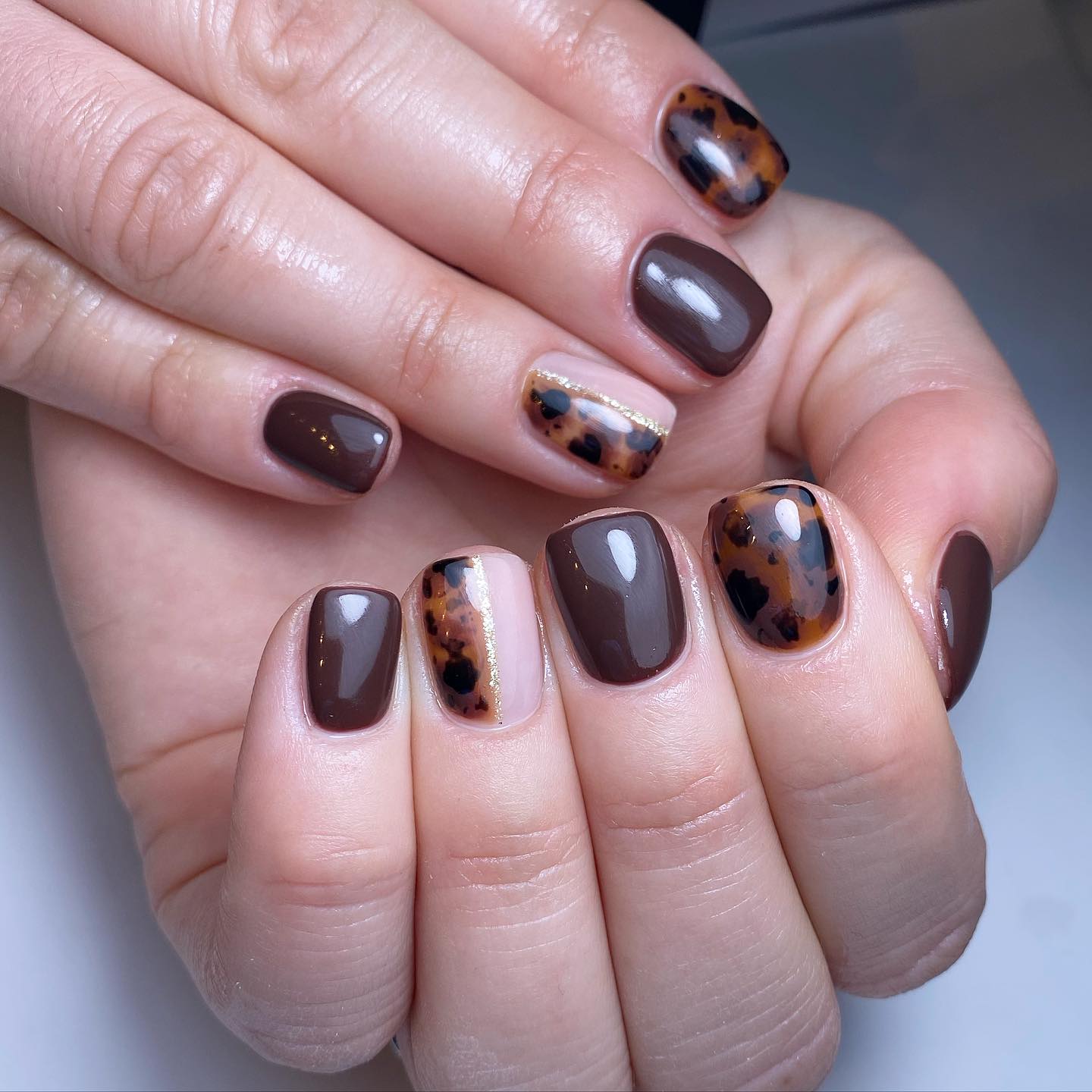 Stylish Brown and Leopard Print Nails