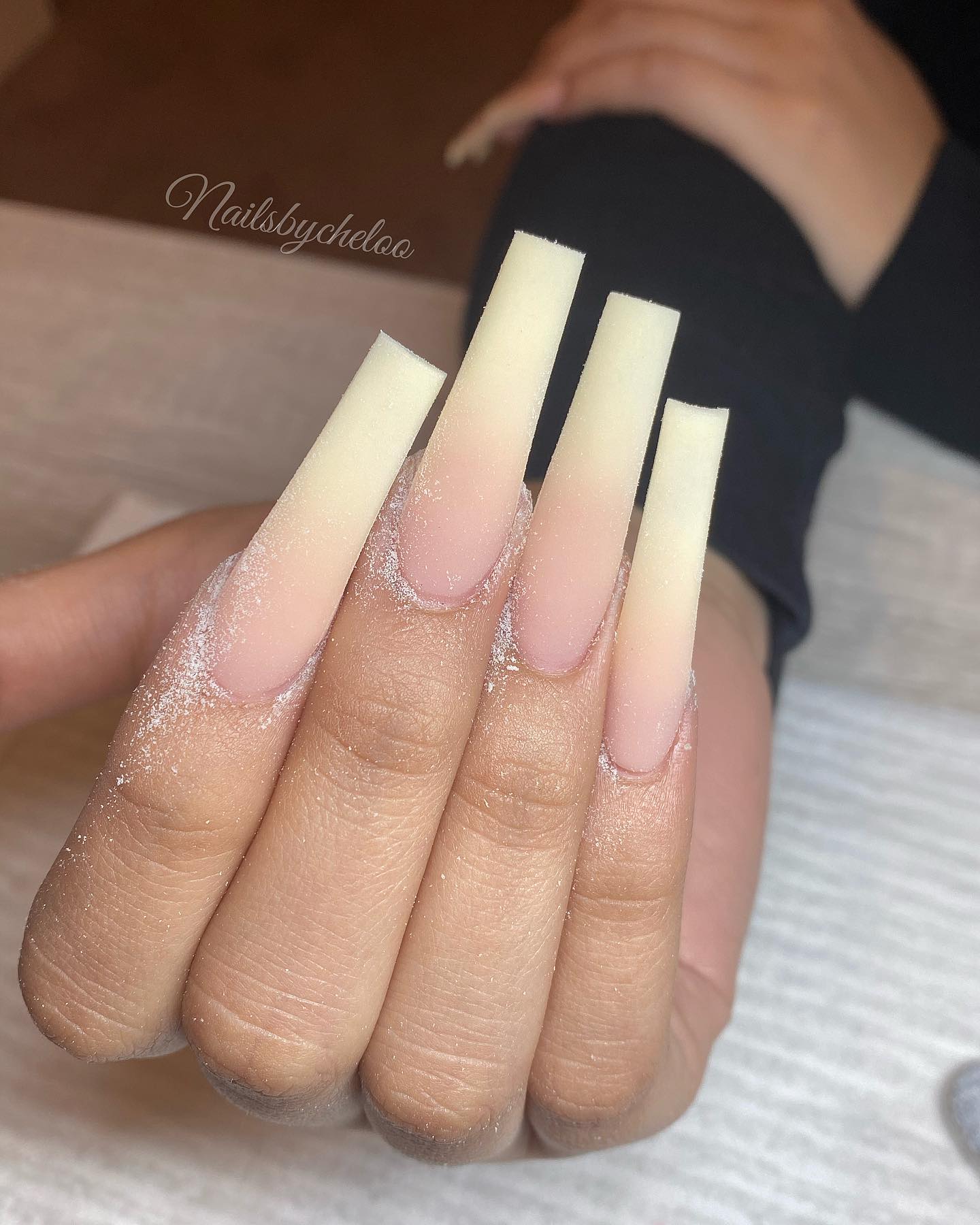 Elegant Nude Ombre Nails