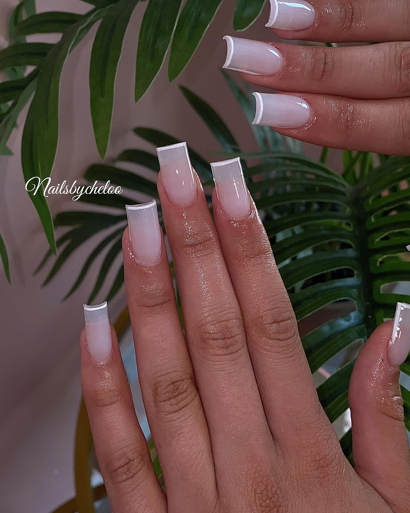 Elegant French Tip Nails