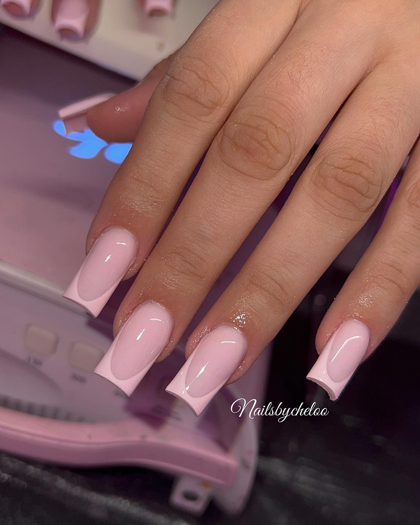 Elegant Pink French Tips